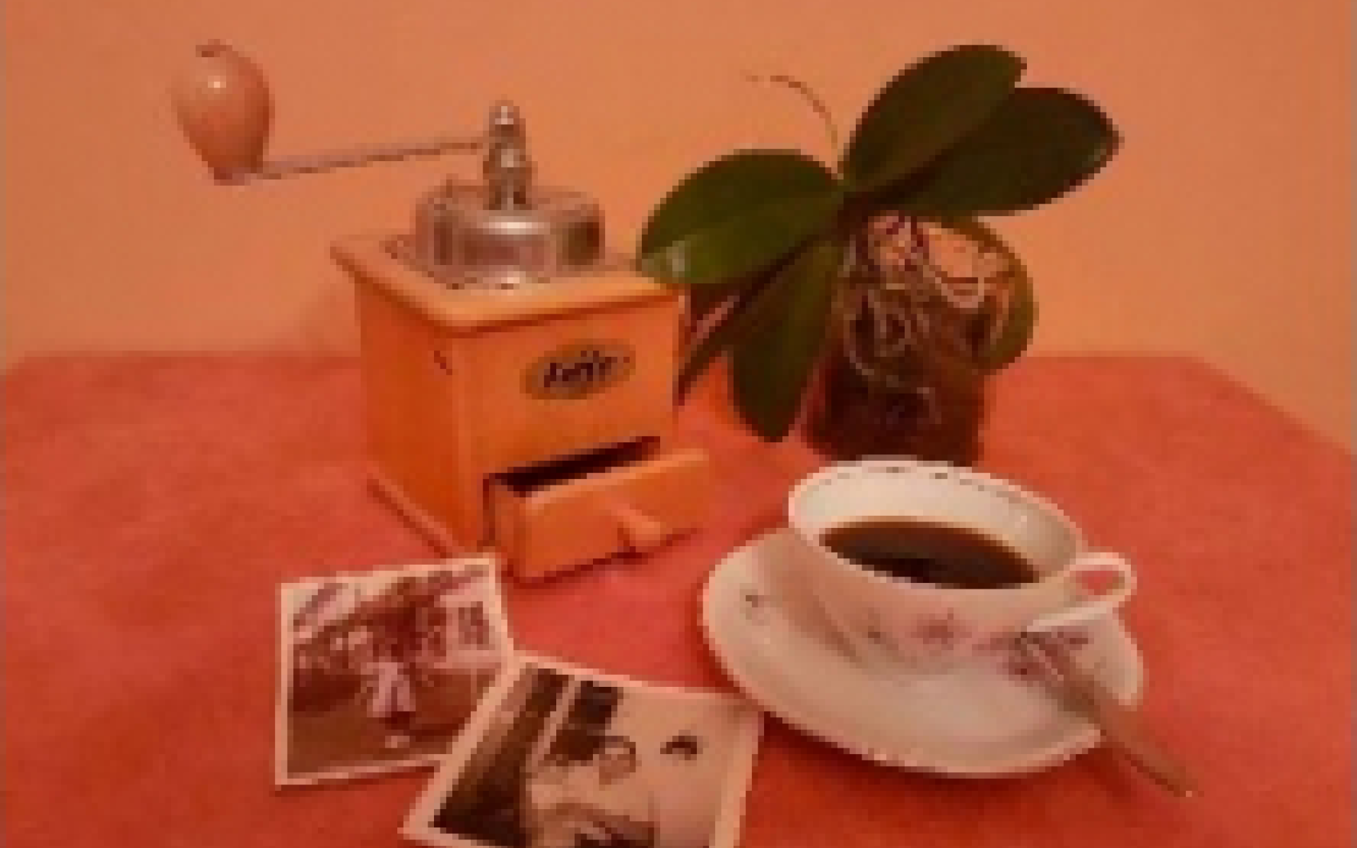 Erzählcafe